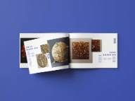 Catalogue and booklet printing by ColorAura India