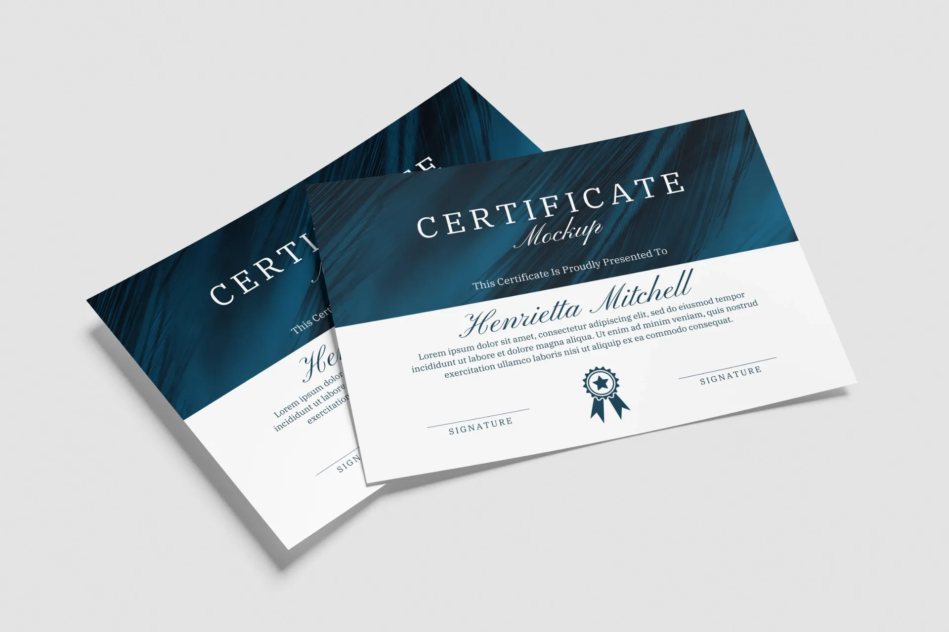Premium Paper Certificates (A4 ( 8.3 X 11.7 Inch ), Standard, 10)